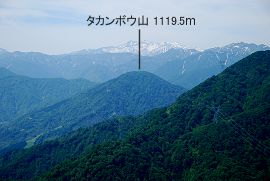 タカンボウ山 1,119.5m