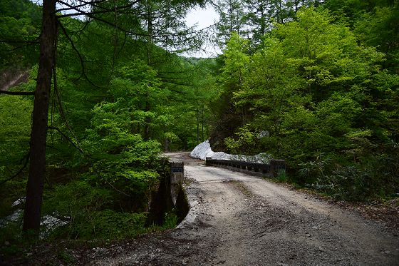 Ｔ字路から東俣峠方向への林道