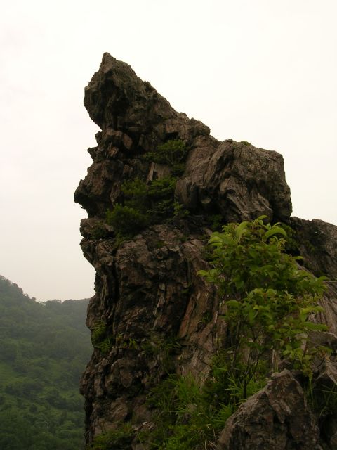 �Ί�